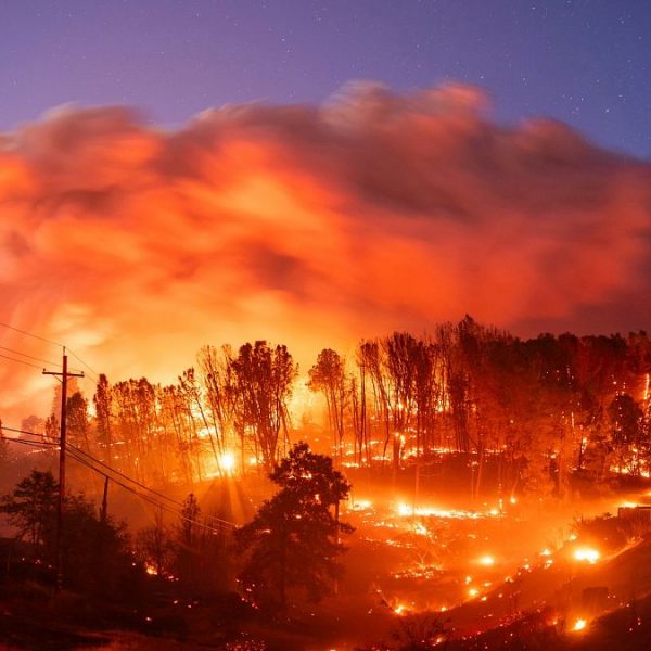 Kaliforniya’da yanan bir aracın neden olduğu yangın, 4.000 kişiyi tahliyeye zorladı