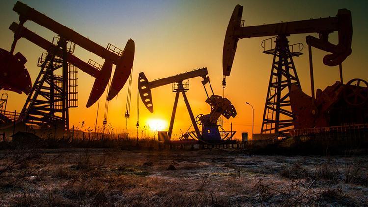 OPEC+ üyesi 8 ülkeden üretim artışı kararı