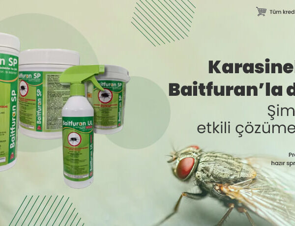Evlerde ve iş yerlerinde haşere sorununa karşı etkili ürün tercihinin önemi