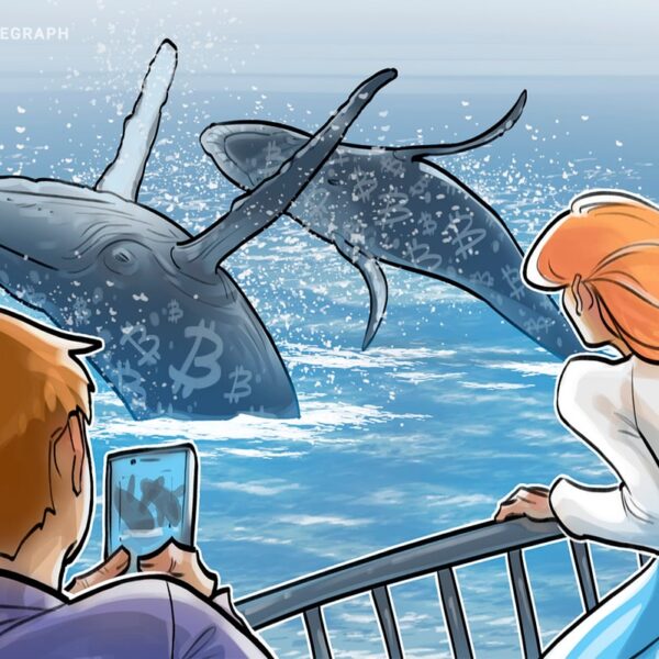 Dev Bitcoin balinası Trump’ın seçilmesinden sonra BTC rezervini iki katına çıkardı