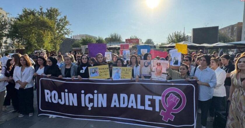 Diyarbakır’da kadınlardan ‘Rojin için adalet’ sesi – Son Dakika Türkiye Haberleri
