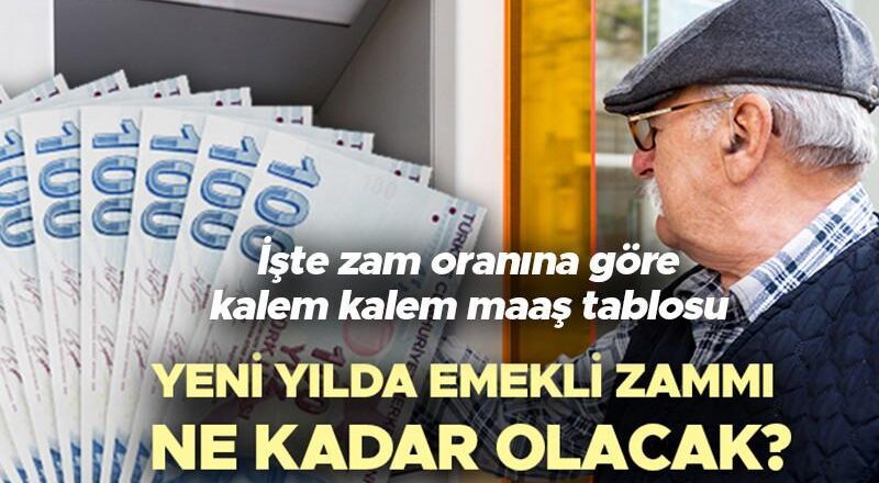 SSK, BAĞKUR EMEKLİ MAAŞ ZAMMI ENFLASYON FARKI 2026 HESAPLAMA GÜNCEL || Merkez Bankası yıl sonu enflasyon tablosu belli oldu! 2026 Ocak emekli maaşı ne kadar olacak, emekli maaş zammı yüzde kaç olacak, emekli zammı ne zaman belli olacak? İşte olası rakamlar ile emekli zammı tablosu!