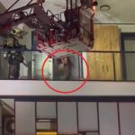 Dairesini yakmaya çalışan kadından itfaiyeye damacana saldırısı