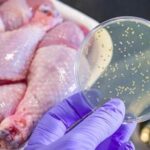 Mutfakta Zehirlenmelere Neden Olan Gıda: Hayat Kurtaran Önemli Kuralı Sakın Atlamayın!