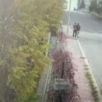 6 Milyonluk Dolandırıcılık: Sahte Polis Yakalandı